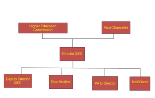 Director QEC